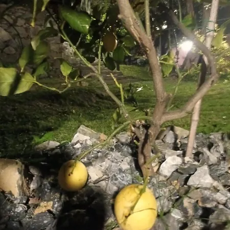 Pensjonat Tenuta Di Venere