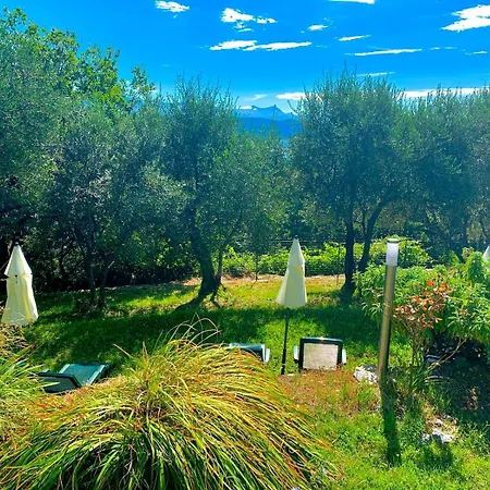 招待所 Tenuta Di Venere