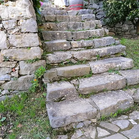Tenuta Di Venere