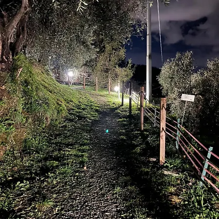 Tenuta Di Venere 4*