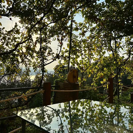 Tenuta Di Venere * Porto Venere