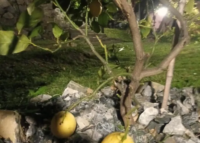 Vendégház Tenuta Di Venere