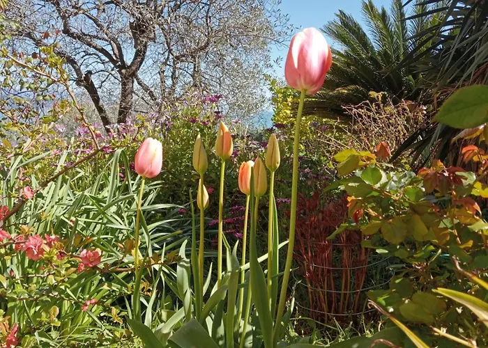 Vendégház Tenuta Di Venere