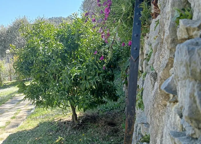 Tenuta Di Venere 4*